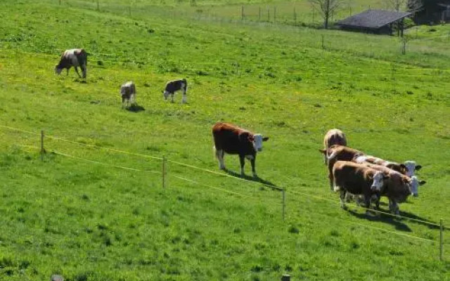 Szlovén Mintagazdaság