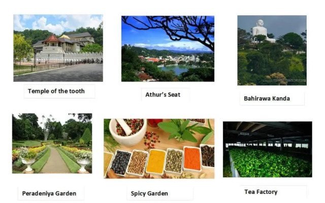 Jasmine Villa Homestay