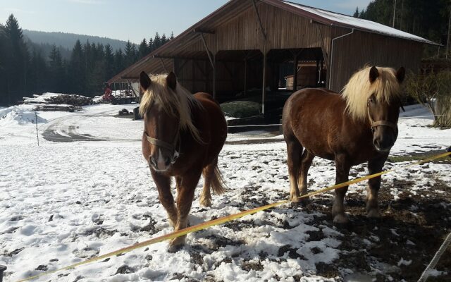 Ferienwohnung Schmalzgrub