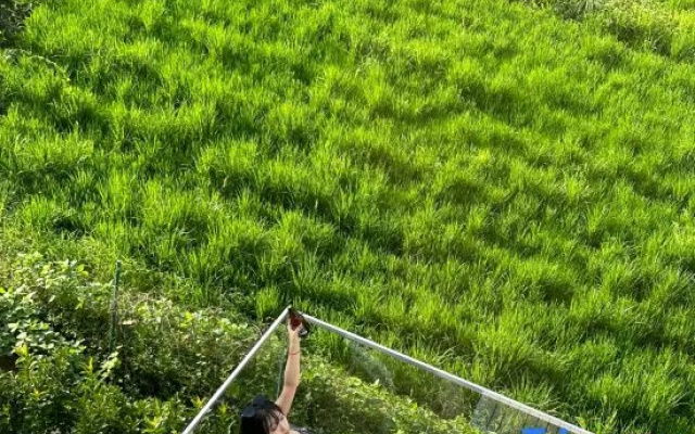 Watch Wheat Field Moganshan Villa Designer Hot Spring Meisu – People – Huzhou