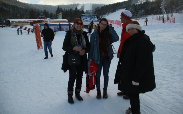 Vila Zlatibor Tornik