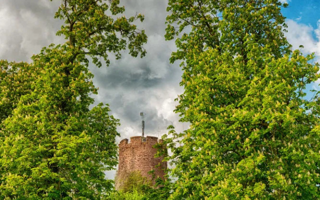 Veltheimsburg