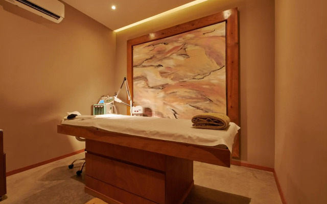 ibis Torreon