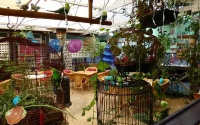 Albany Discovery Inn