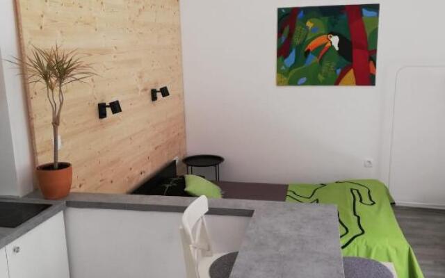 Studio apartman Fleiss