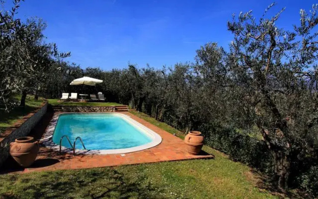 Oliver Guest House