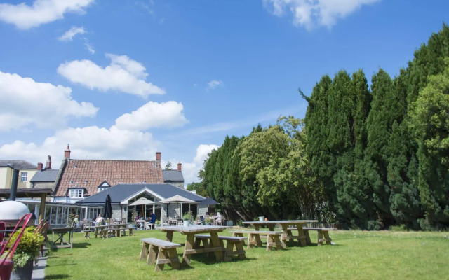 The Swan