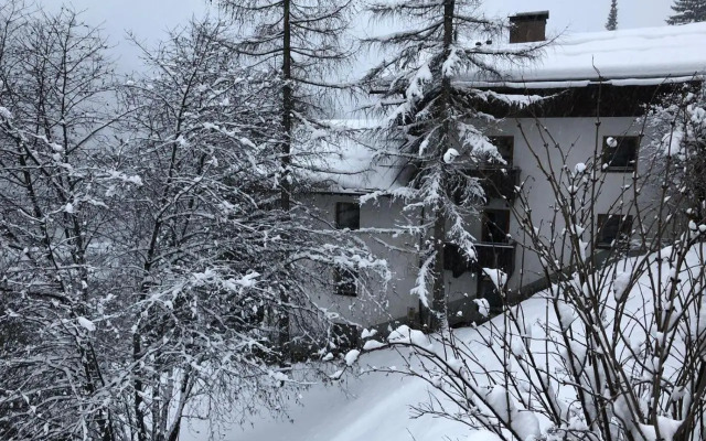 Chalethotel Haus Elfie By Skinetworks