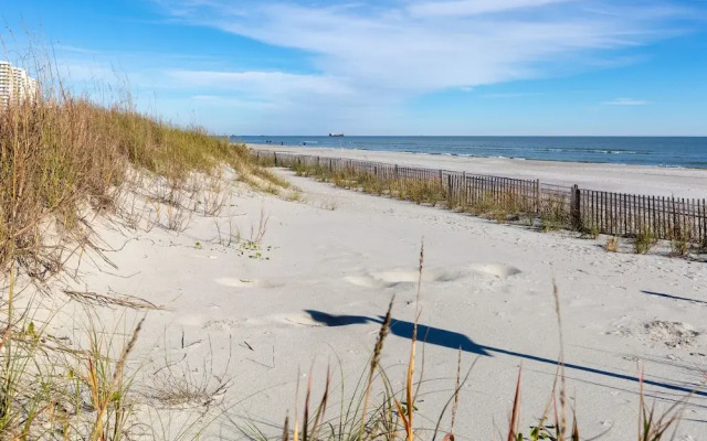 Windy Shores II