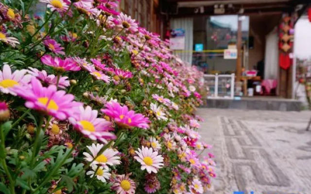 Pingju Scenic Inn (The Old Town of Lijiang)