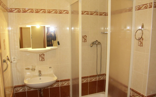 Pension Brezina Prague
