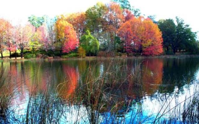 Sani Window B&B and Self catering