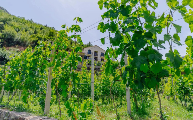 Rustic House Leković