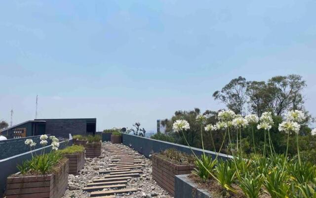 GRAN UBICACIÓN, en la zona de SANTA FE, KING BED