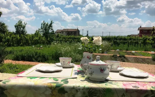 Fiori&vigne di Cecilia Marcon