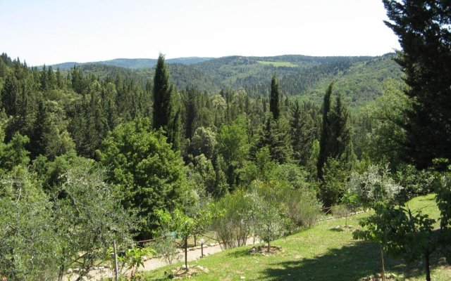 Tenuta la Cipresseta