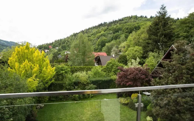 Dream Apart Kalinowa