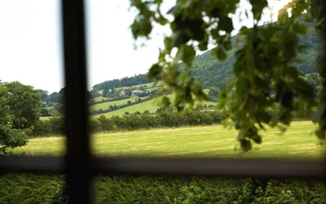 The Cleveland Tontine