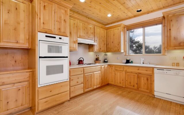 Starlight Vistas #1524