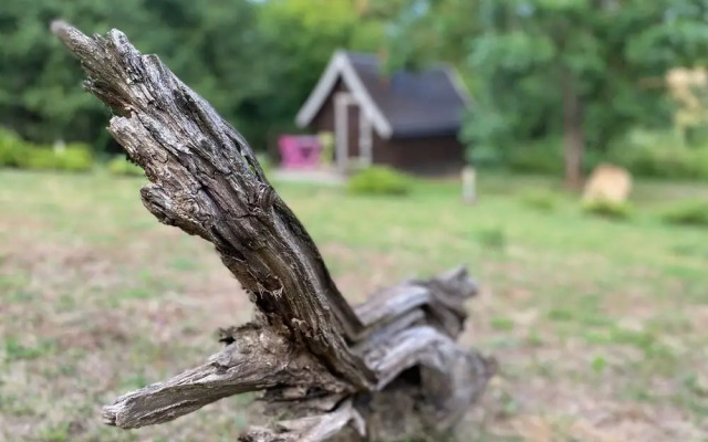 Au Repère des Elfes