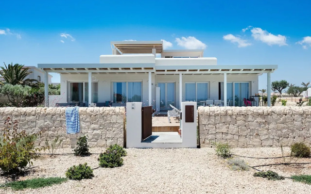 San Lorenzo - Fico d'India