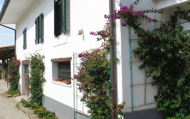 Tenuta Monte Sant'Angelo