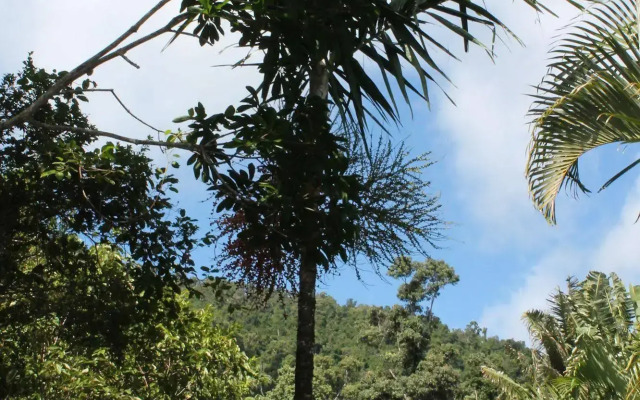 Whitsundays Rainforest Retreat