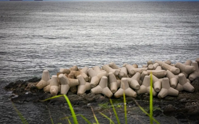 Pohang Bagliore Pension