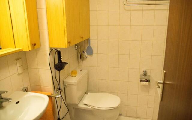 Apartment Grüner Baum Alpendorf