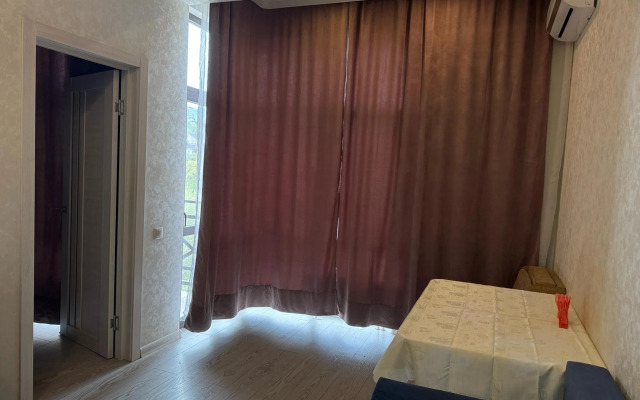 Апартаменты Pluton Aparts в СНТ Агро