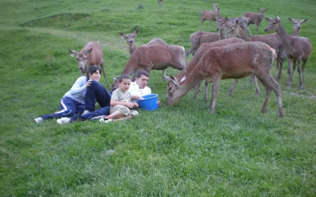 Hotel Venta de Ulzama