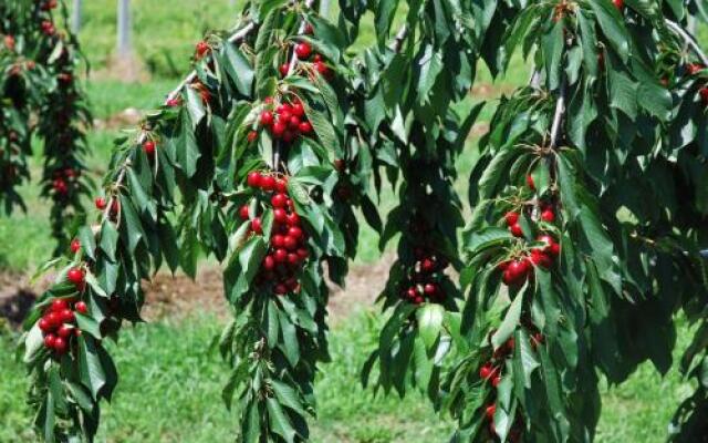 Agriturismo Terra E Sole