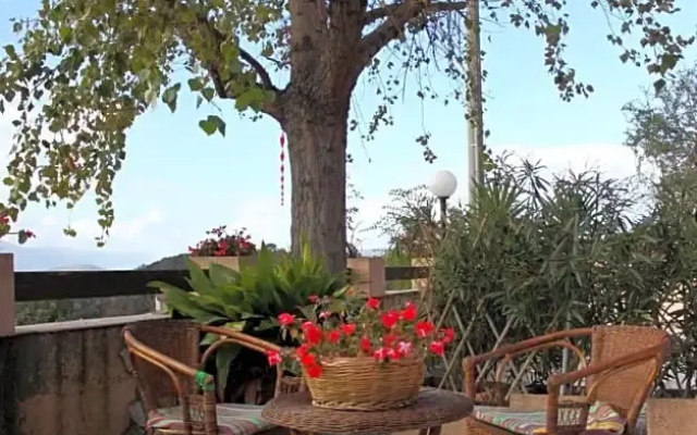 Il Pioppo