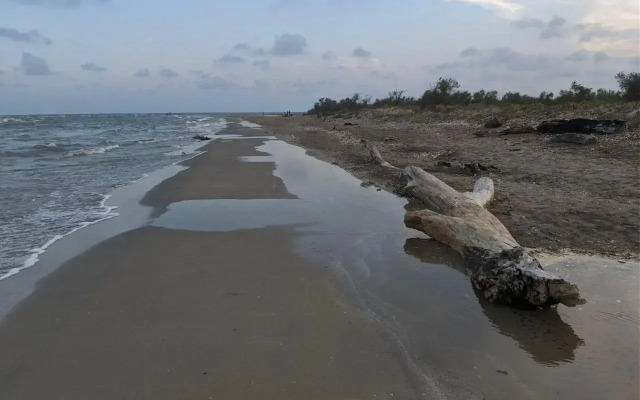 Hotel Plutitor Egreta 1