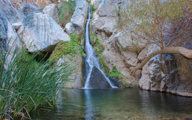 Panamint Springs Resort