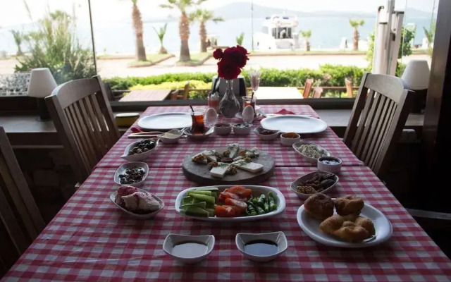 Aliye Hanım