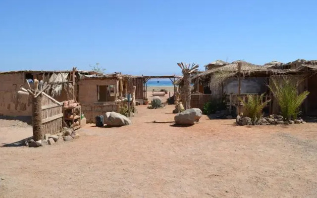 Sawa Camp