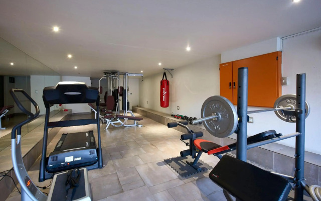 Dynasty Forest Sandown Accommodation