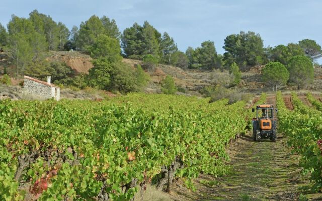 Charming Villa in Lagrasse With Private Swimming Pool