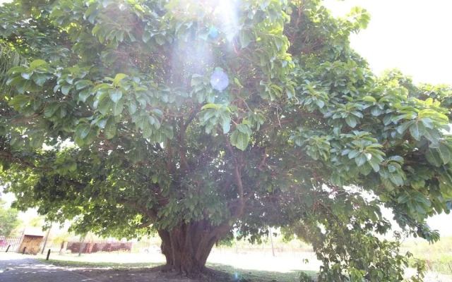 Asante Sana Holiday Village