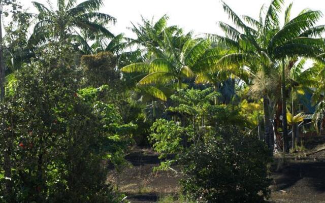 Hawaiian Paradise Bungalow