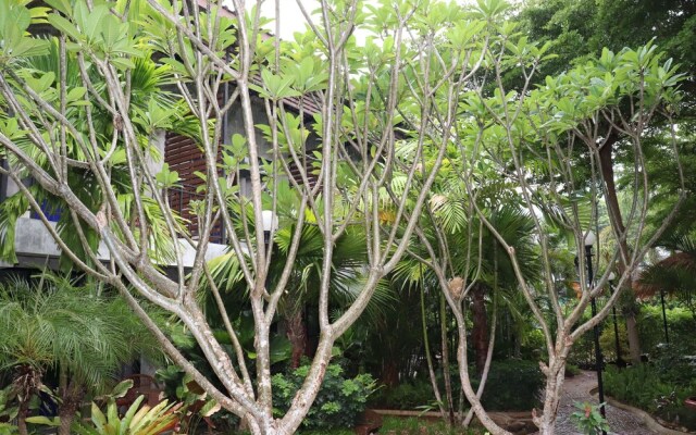 The Picturebook Guesthouse