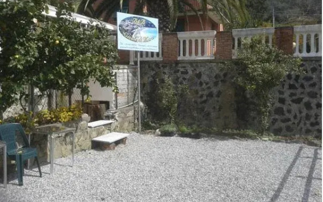 Cicale Di Mare