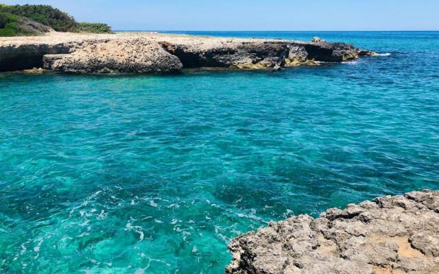 Suite Paraiso (Adults Only)