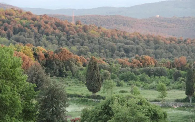 Agriturismo Poggio ai Legni