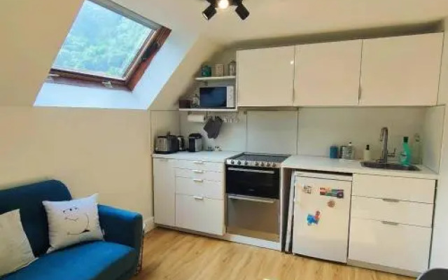 Studio Cauterets, 1 pièce, 4 personnes - FR-1-401-23