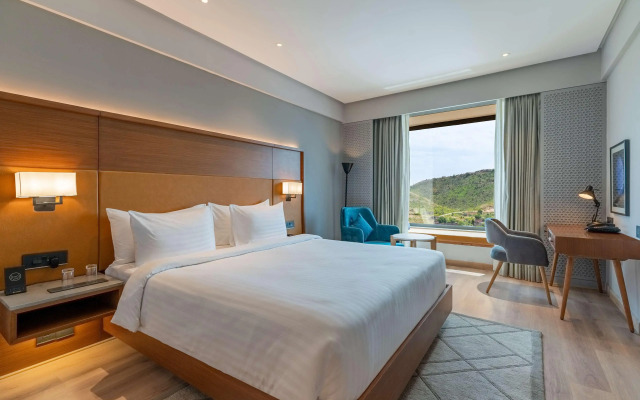 Radisson Hotel Nathdwara