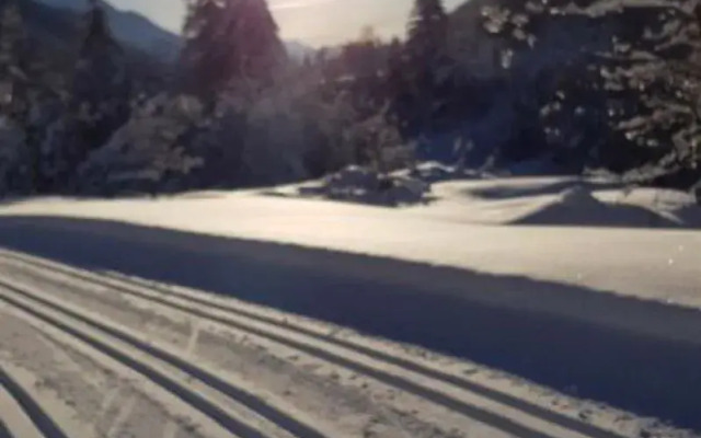 Apartment Lischa Fiesch