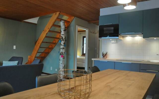 Comfortable, Renovated House Near Vielsalm