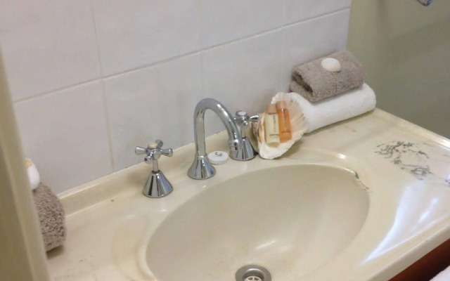 Coconut Palms on the Bay